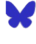 Follow